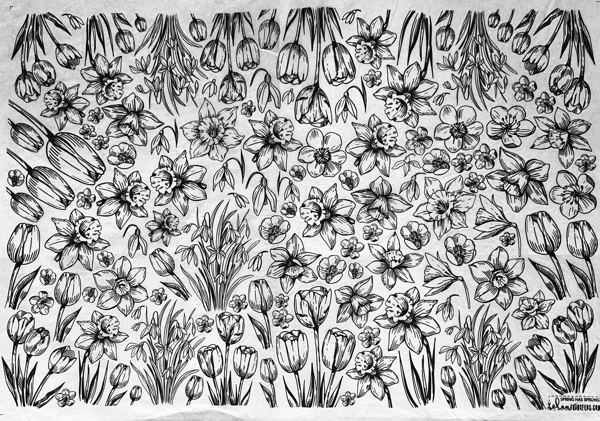 Spring Has Sprung - Underglaze Transfer Sheet - Black