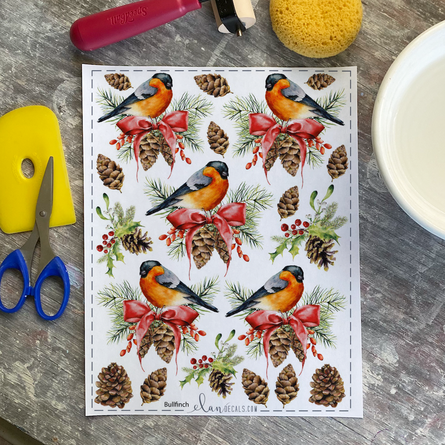 Bullfinch - Overglaze Decal Sheet