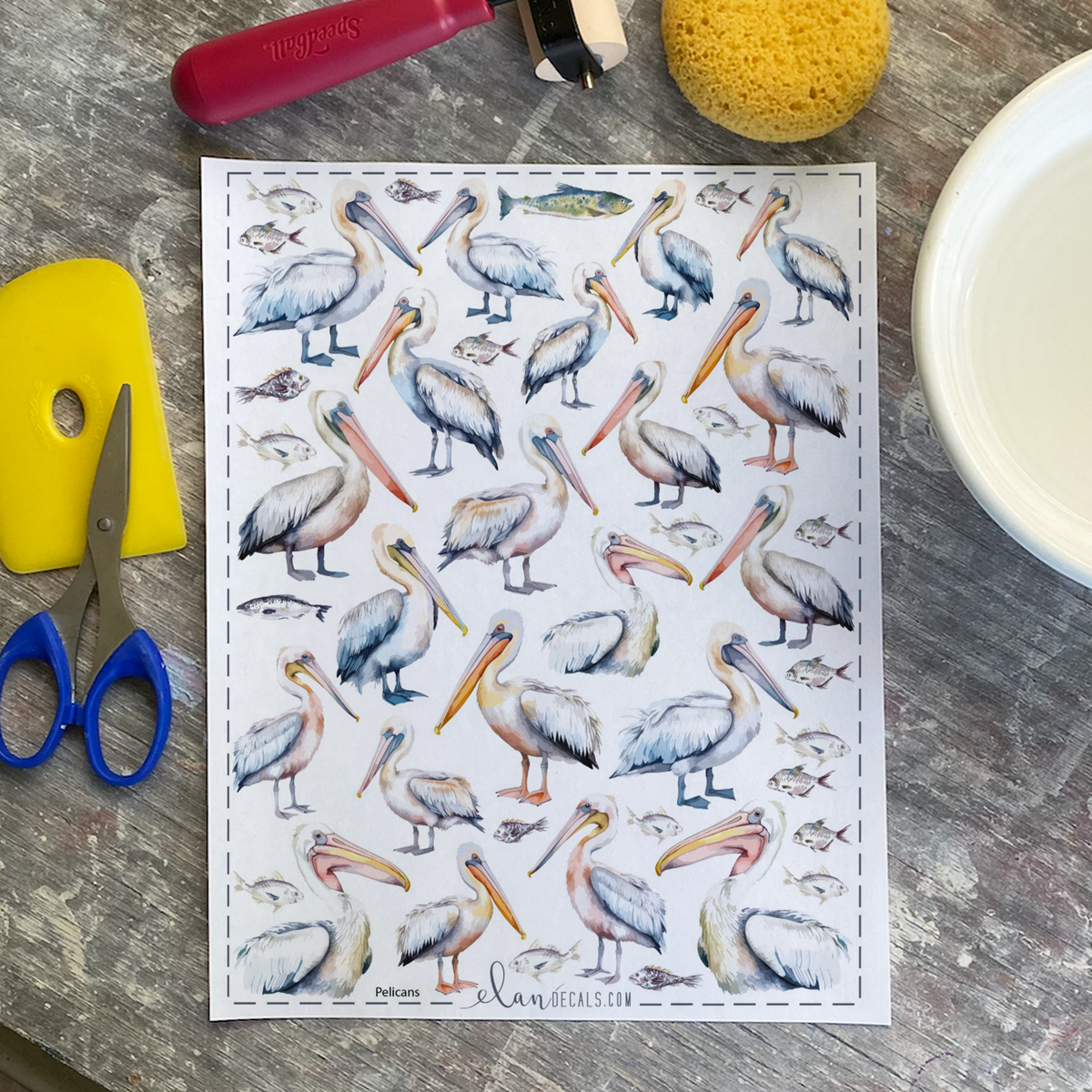 Pelicans - Overglaze Decal Sheet