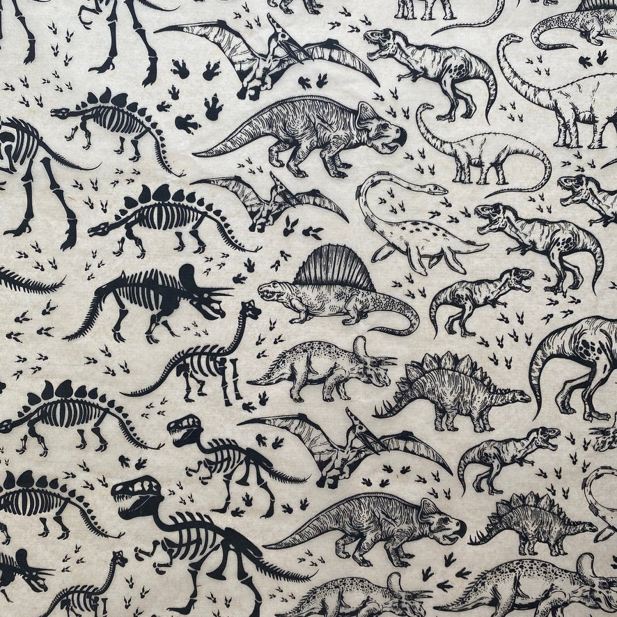 Dinosaurs - Underglaze Transfer Sheet - Black