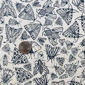 Moths - Underglaze Transfer Sheet - You Choose Color