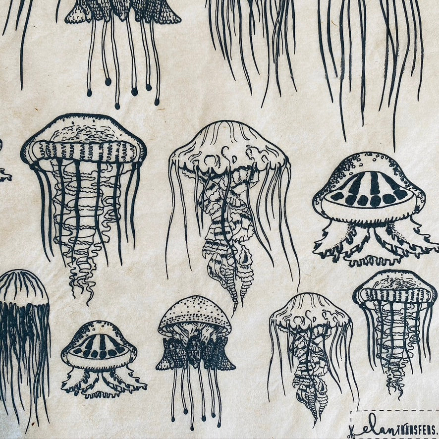 Jellyfish - Underglaze Transfer Sheet - Black