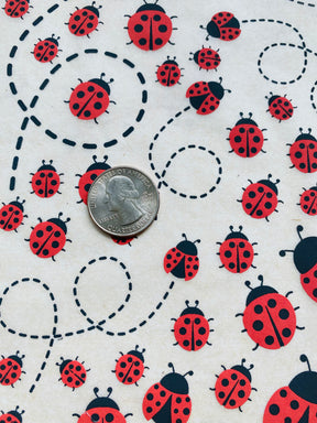 Lady Bugs - Underglaze Transfer Sheet - Multi Colored