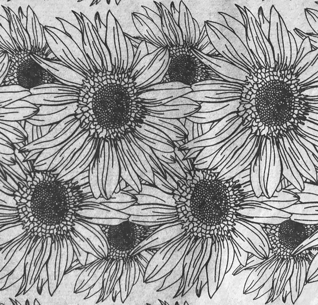 Sunflower Border - Underglaze Transfer Sheet - You Choose Color