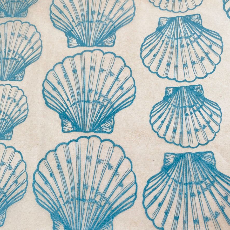 Shells Scallop - Underglaze Transfer Sheet - You Choose Color