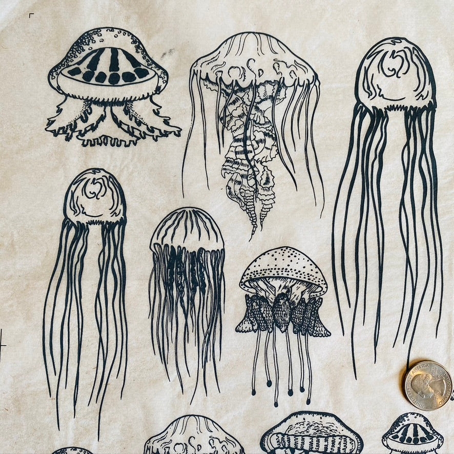 Jellyfish - Underglaze Transfer Sheet - Black