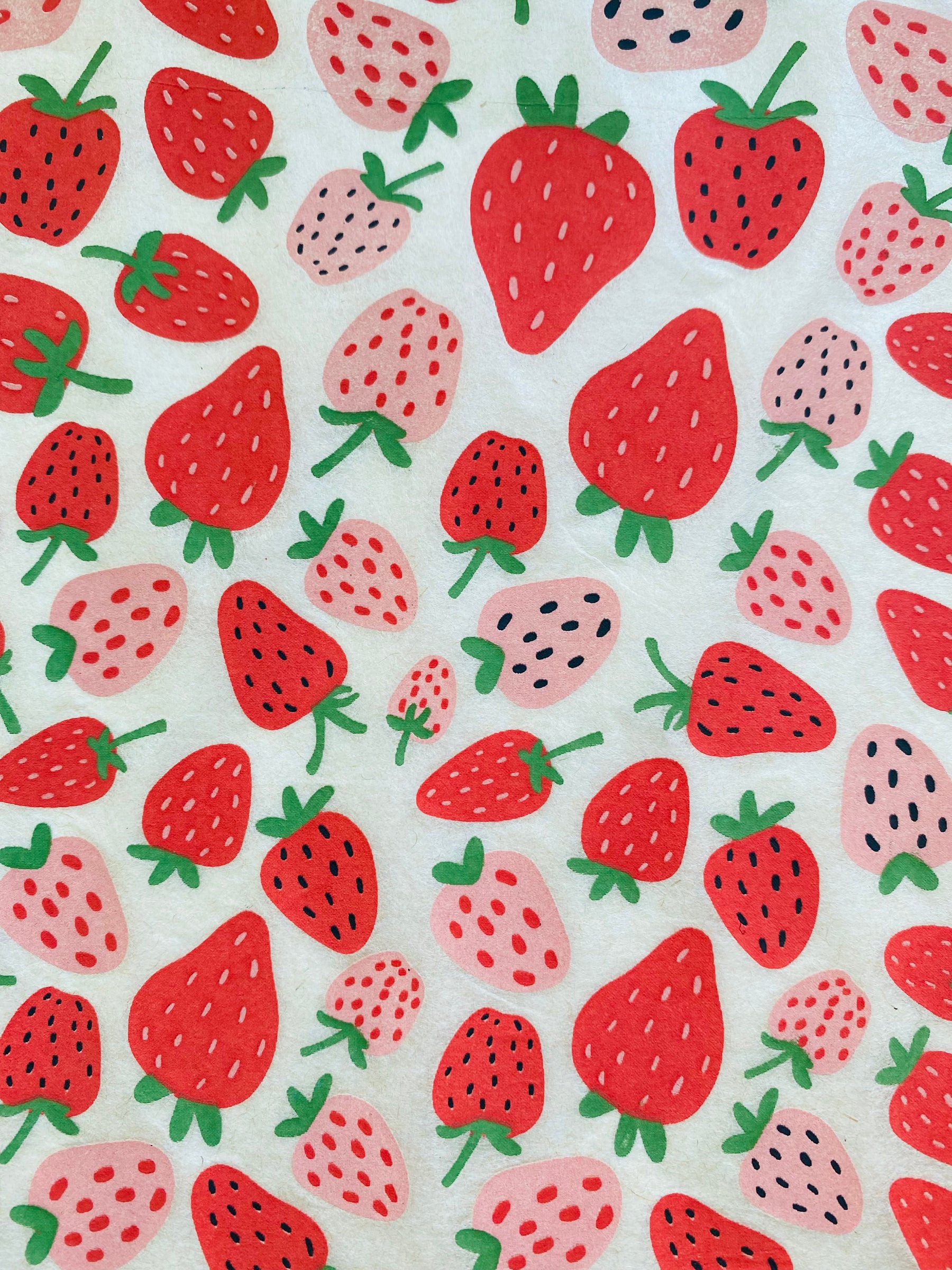 Strawberries - Underglaze Transfer Sheet - Multi Colored