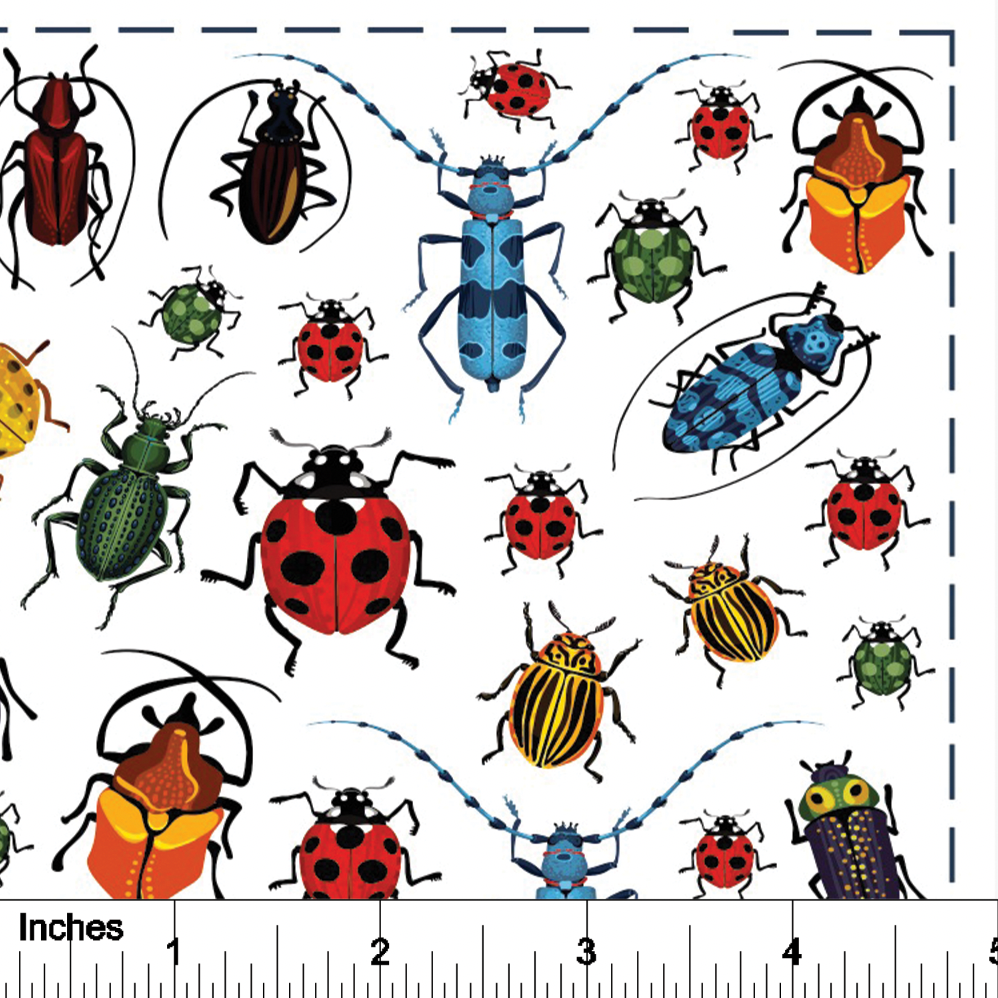 Beetles - Overglaze Decal Sheet