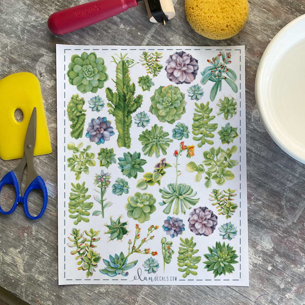 Succulents - Overglaze Decal Sheet