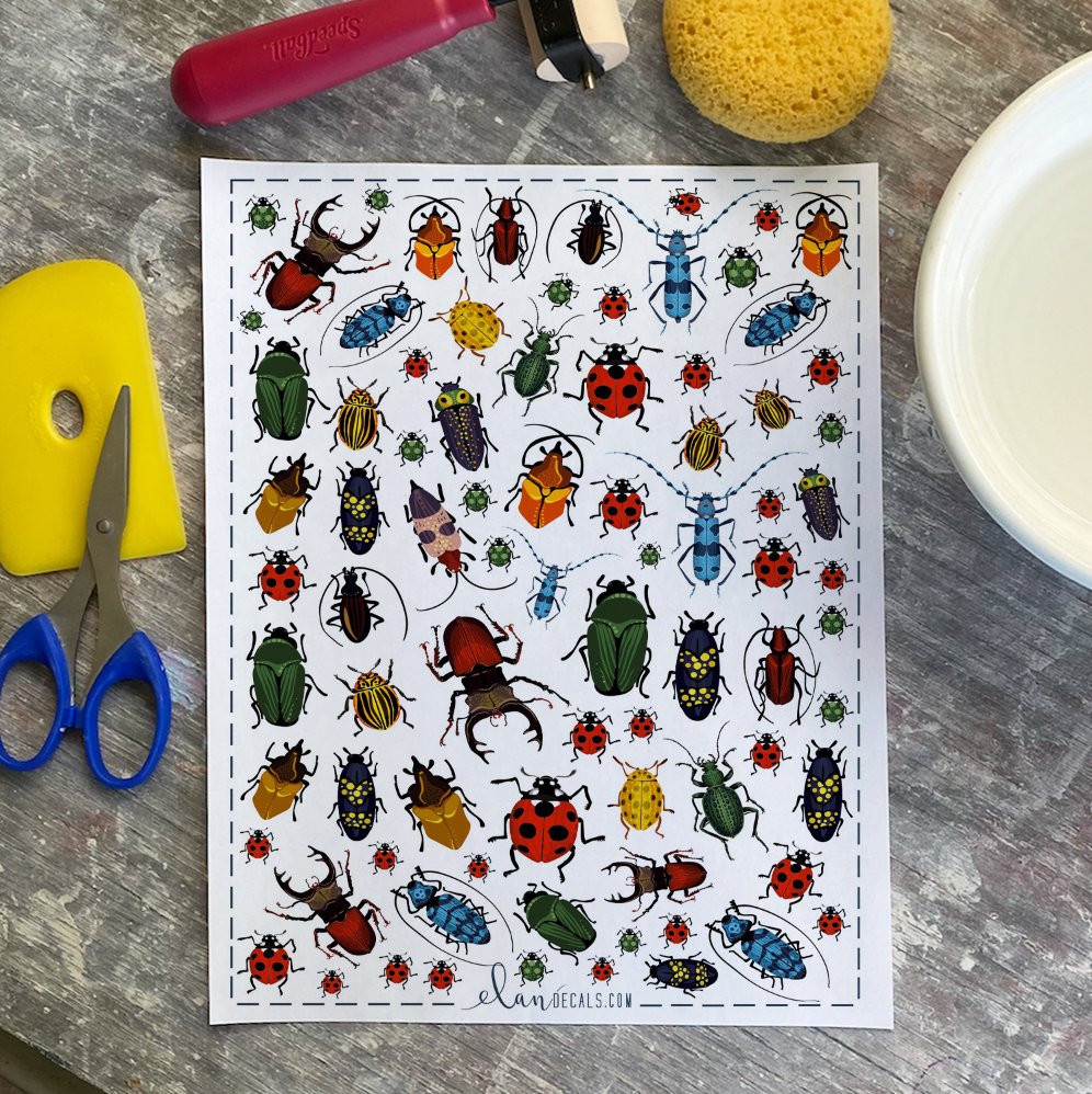 Beetles - Overglaze Decal Sheet