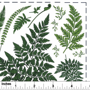 Ferns - Overglaze Decal Sheet