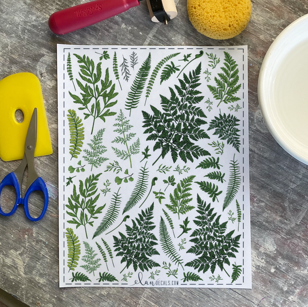 Ferns - Overglaze Decal Sheet