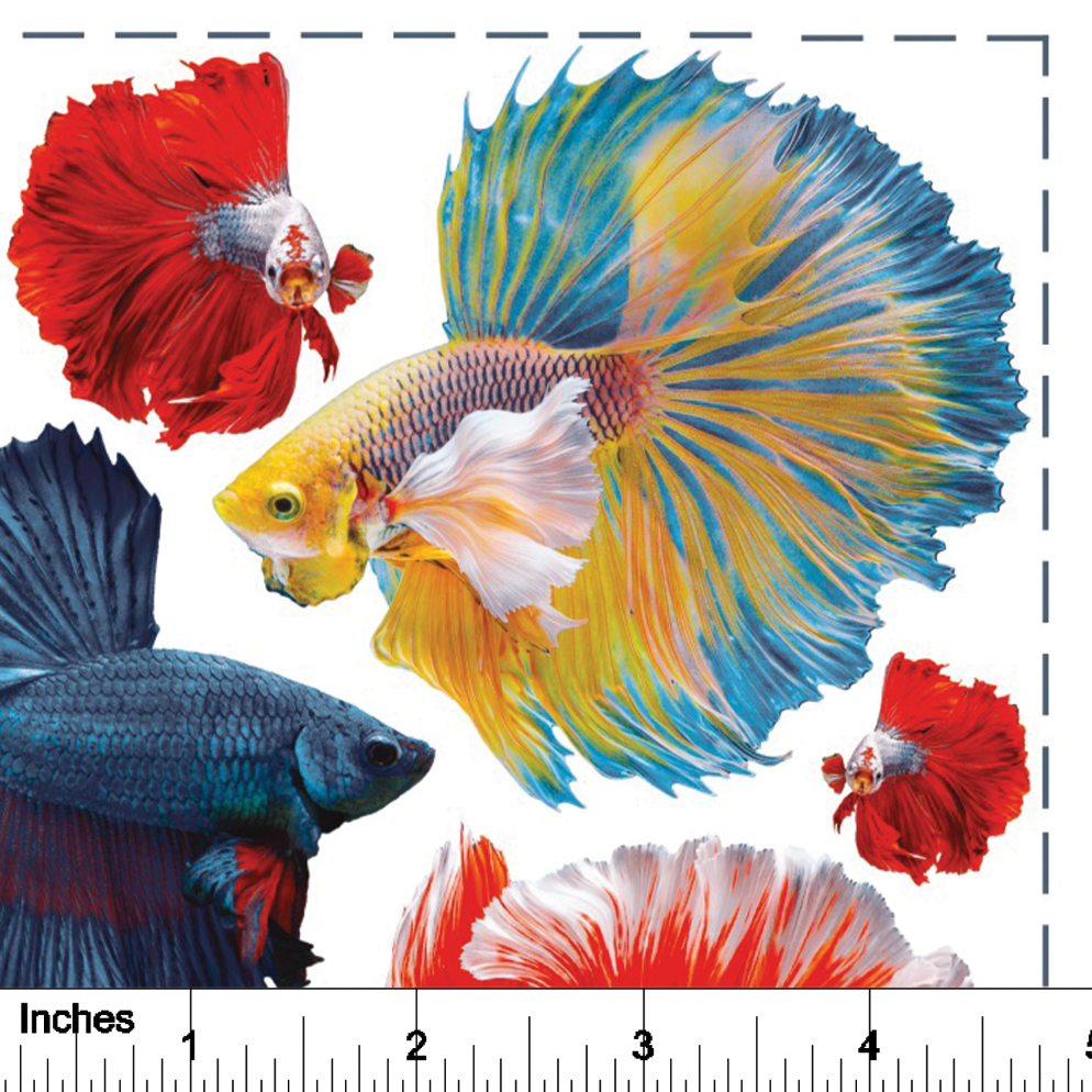 Beta Fish from Photo - Overglaze Decal Sheet