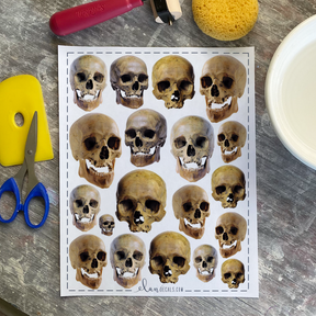 Skulls from Photo - Overglaze Decal Sheet