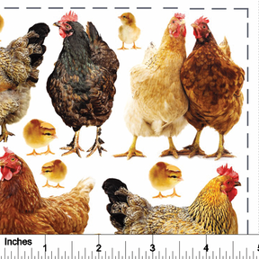 Chickens from Photo - Overglaze Decal Sheet