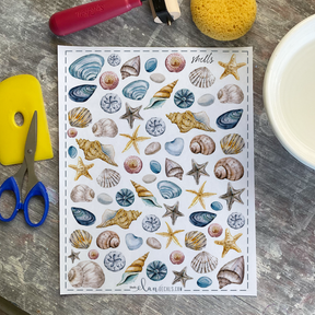 Shells - Overglaze Decal Sheet