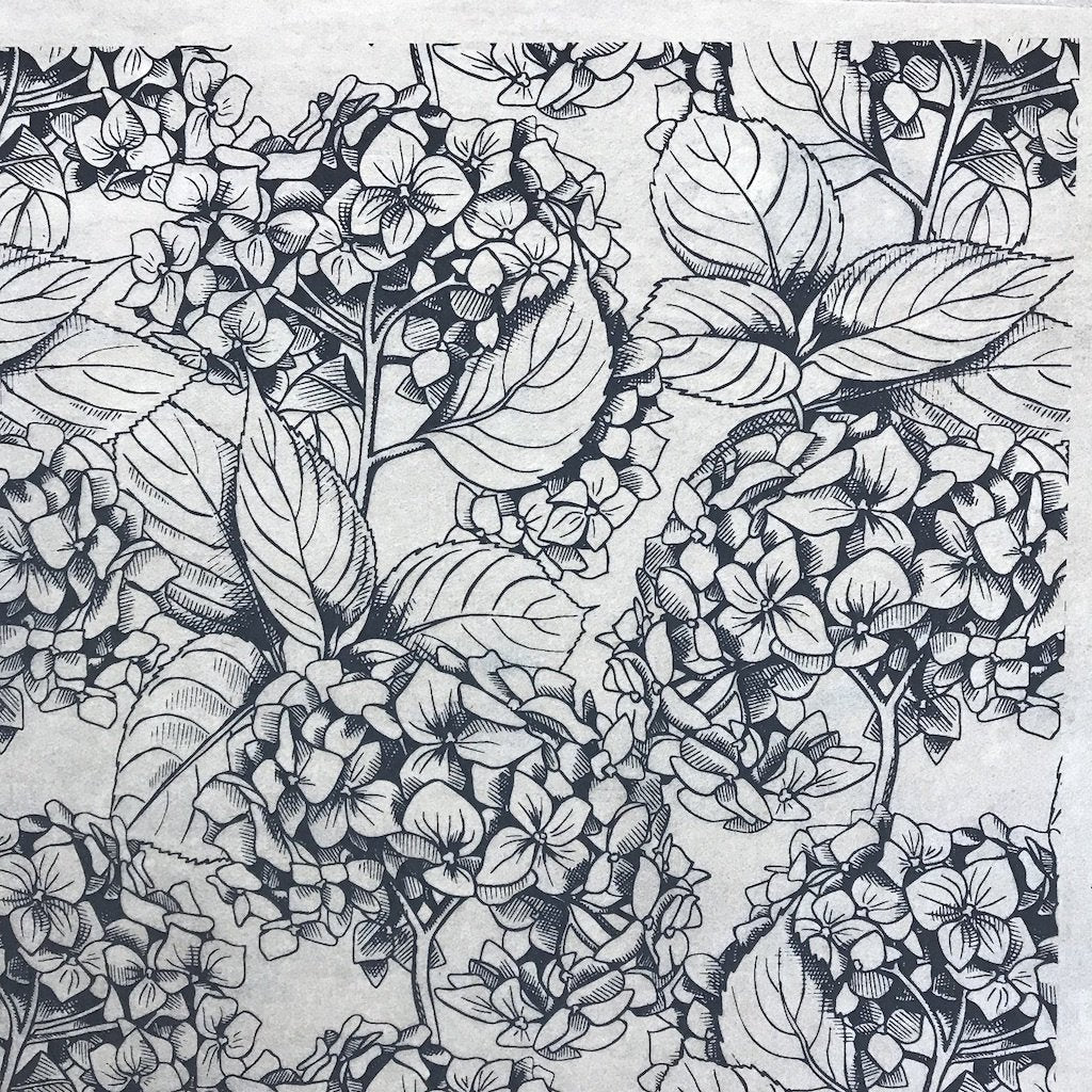 Hydrangea - Underglaze Transfer Sheet - You Choose Color