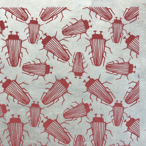 Beetles - Underglaze Transfer Sheet - You Choose Color