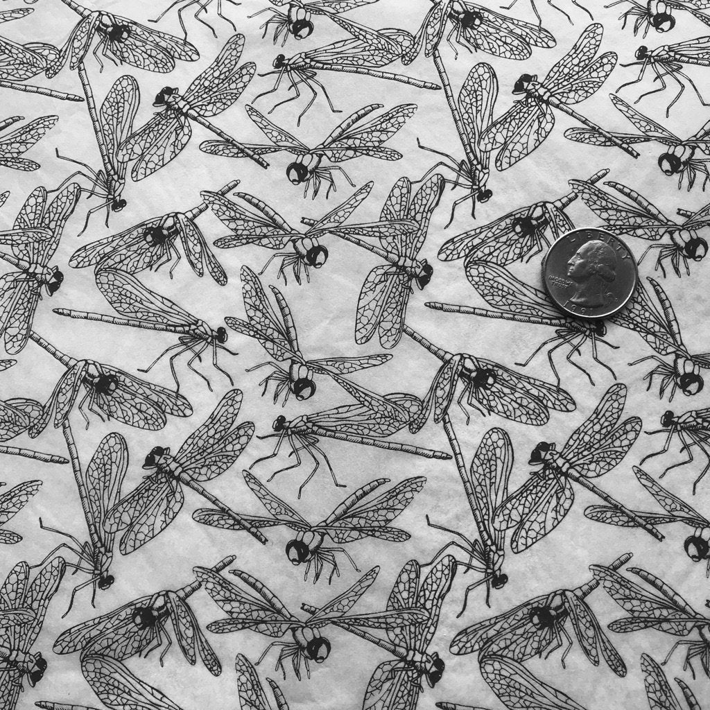 Dragonflies - Underglaze Transfer Sheet - Black