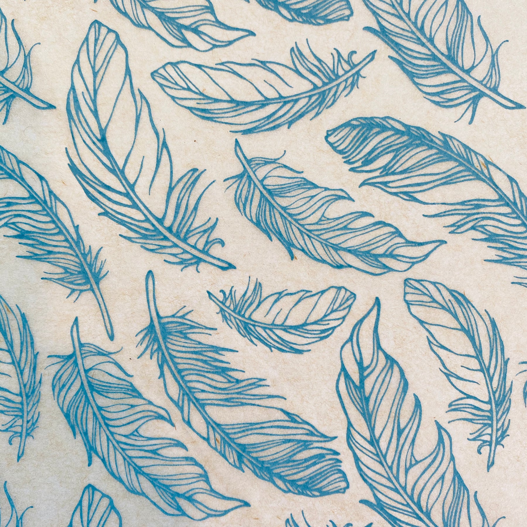 Feathers - Underglaze Transfer Sheet - You Choose Color