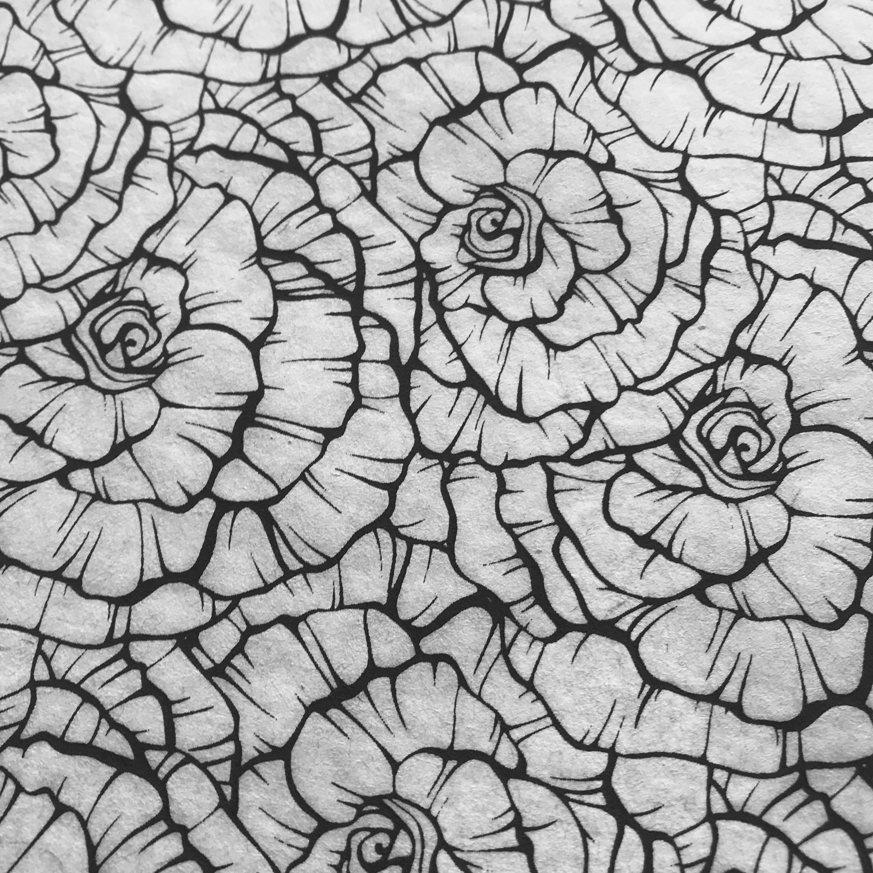 Roses - Underglaze Transfer Sheet - You choose color