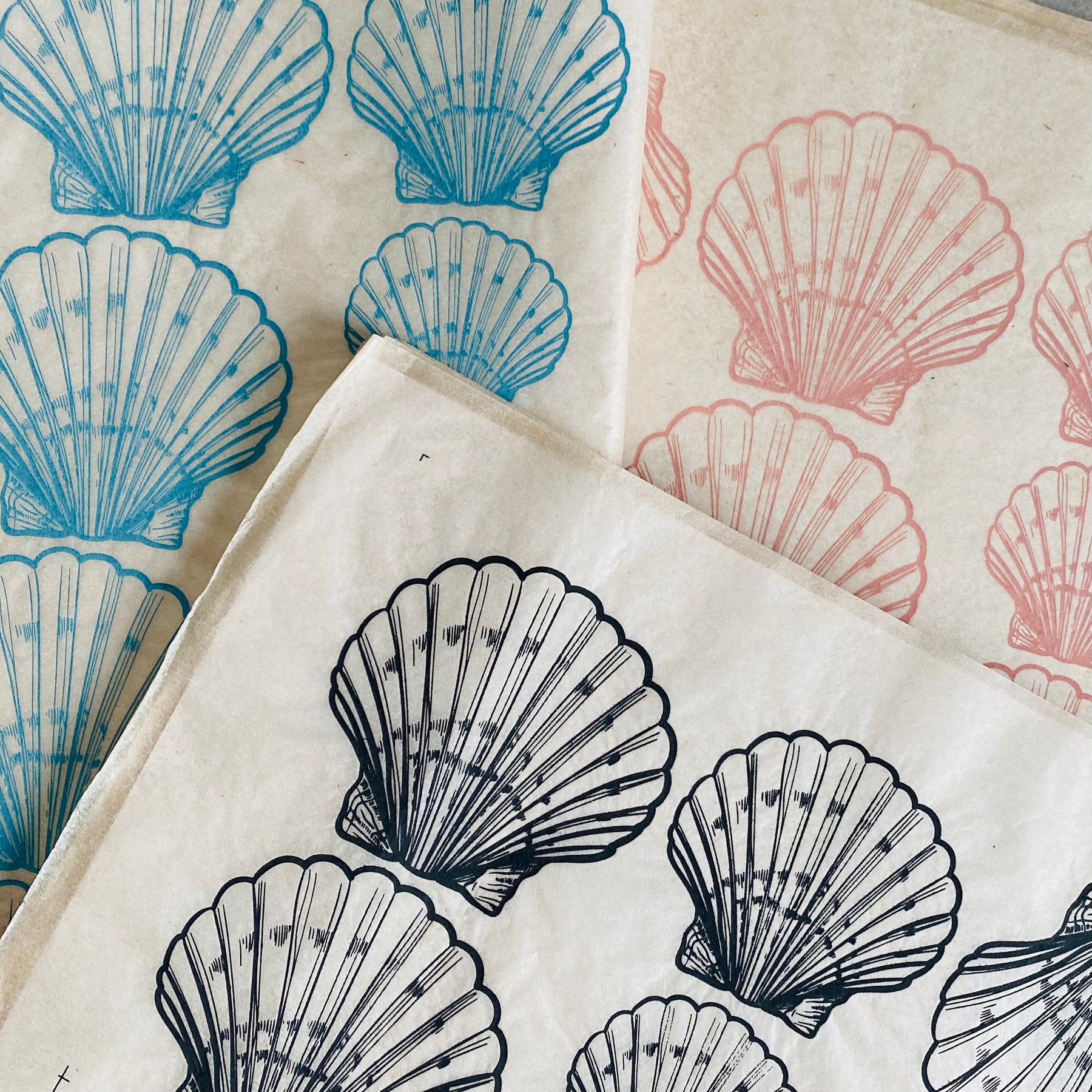 Shells Scallop - Underglaze Transfer Sheet - You Choose Color