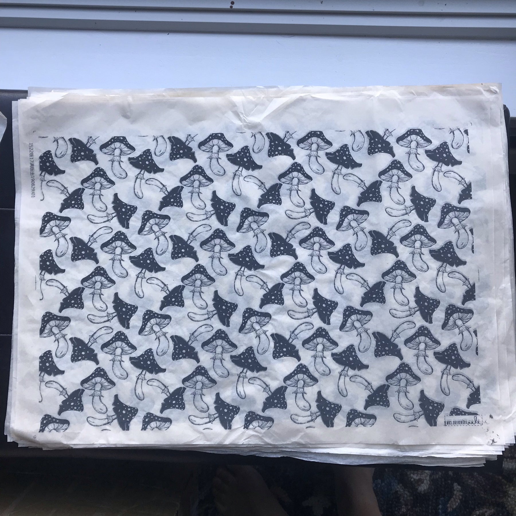 Mushrooms - Underglaze Transfer Sheet - Black